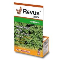 revus